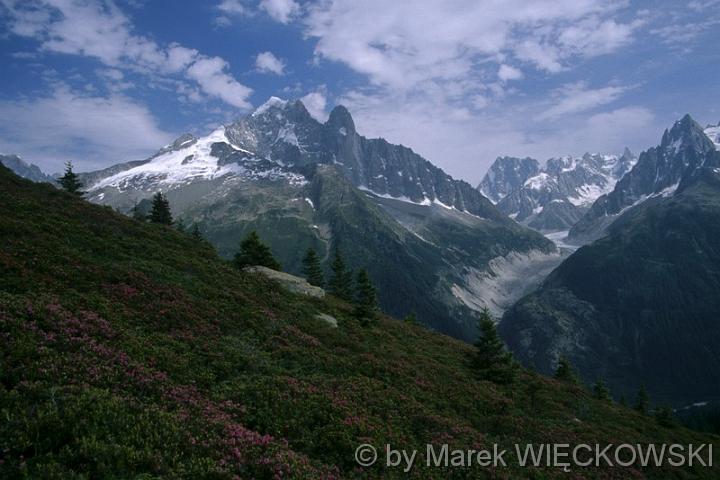 Marek_Wieckowski161