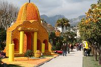 IMG_8596