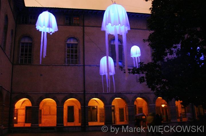4410_fete_des_lumieres