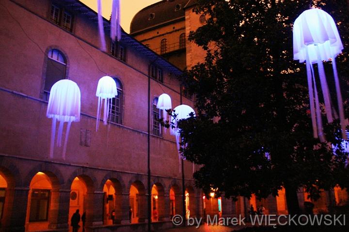 4413_fete_des_lumieres