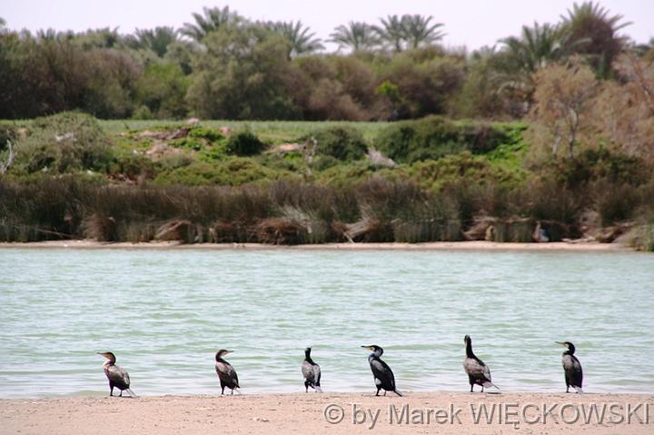 Libya_m_srodziemne