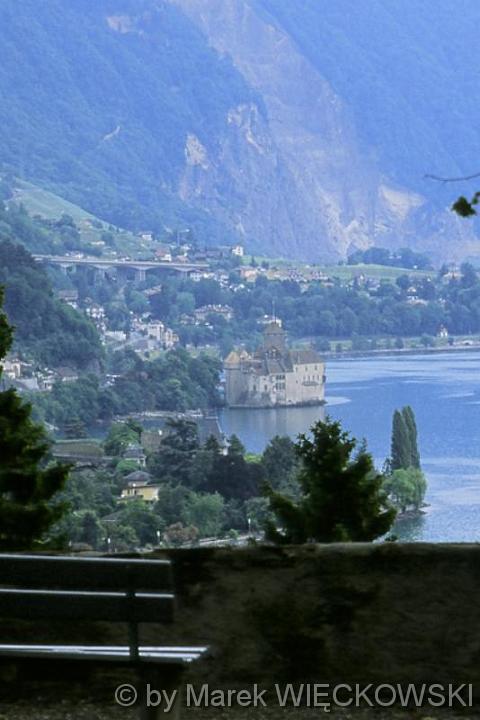 CHILLON_MALE